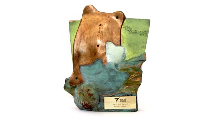 Memira vinner av europeisk ICL-pris 2015